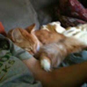 Meet your Posher, Renee